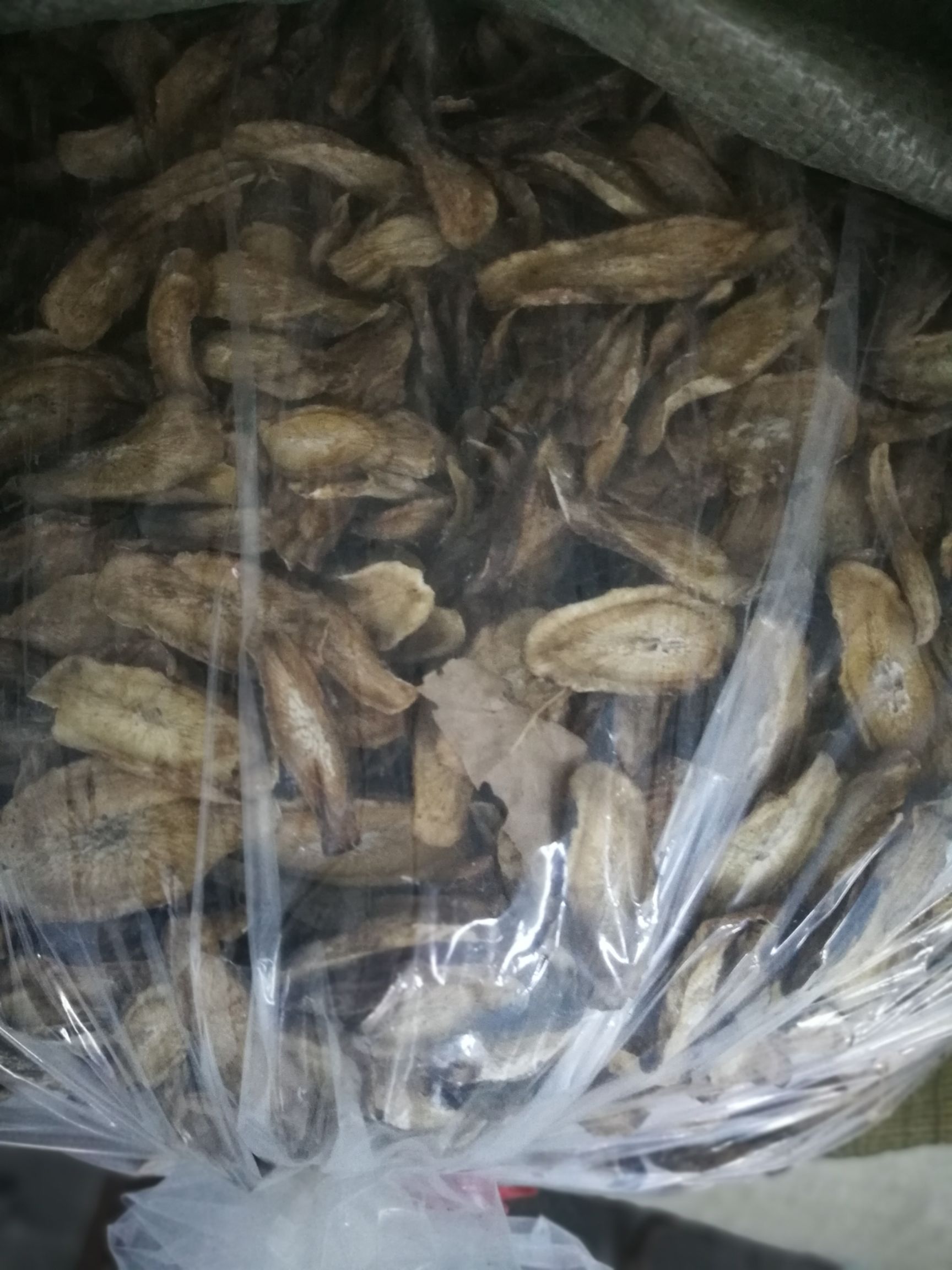  供应各种规格牛蒡片，牛蒡茶，牛蒡深加工