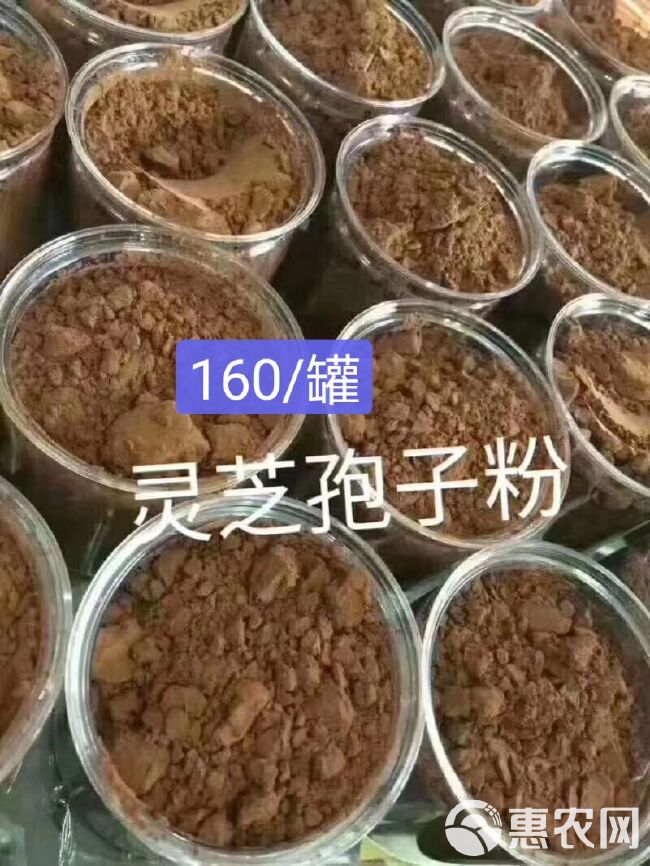  大量英德红茶绿茶乡下土特产