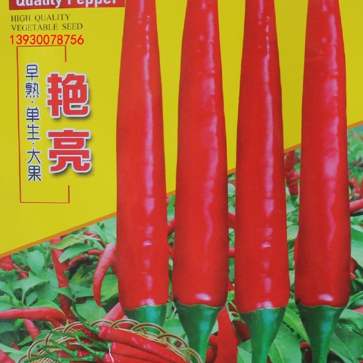 鸡泽县朝天椒种子  艳亮朝天椒早熟果大高产一袋五克一千粒包邮