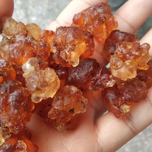 随县食用桃胶  湖北随州原产地大量供应桃胶