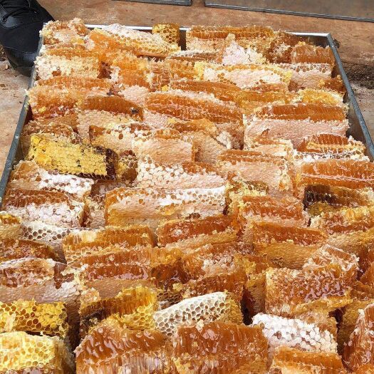 昆明 自己家养殖的蜂巢蜜
