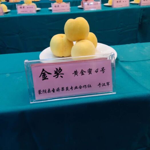蒙阴县 黄金蜜桃口感脆甜现摘现发果园直达一件5斤包邮