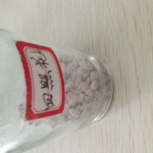 九江四照花果苗 哪里的四照花种子最好卖
