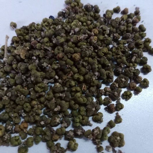 临湘市 吴茱萸自家种的，自产自销，保证质量。