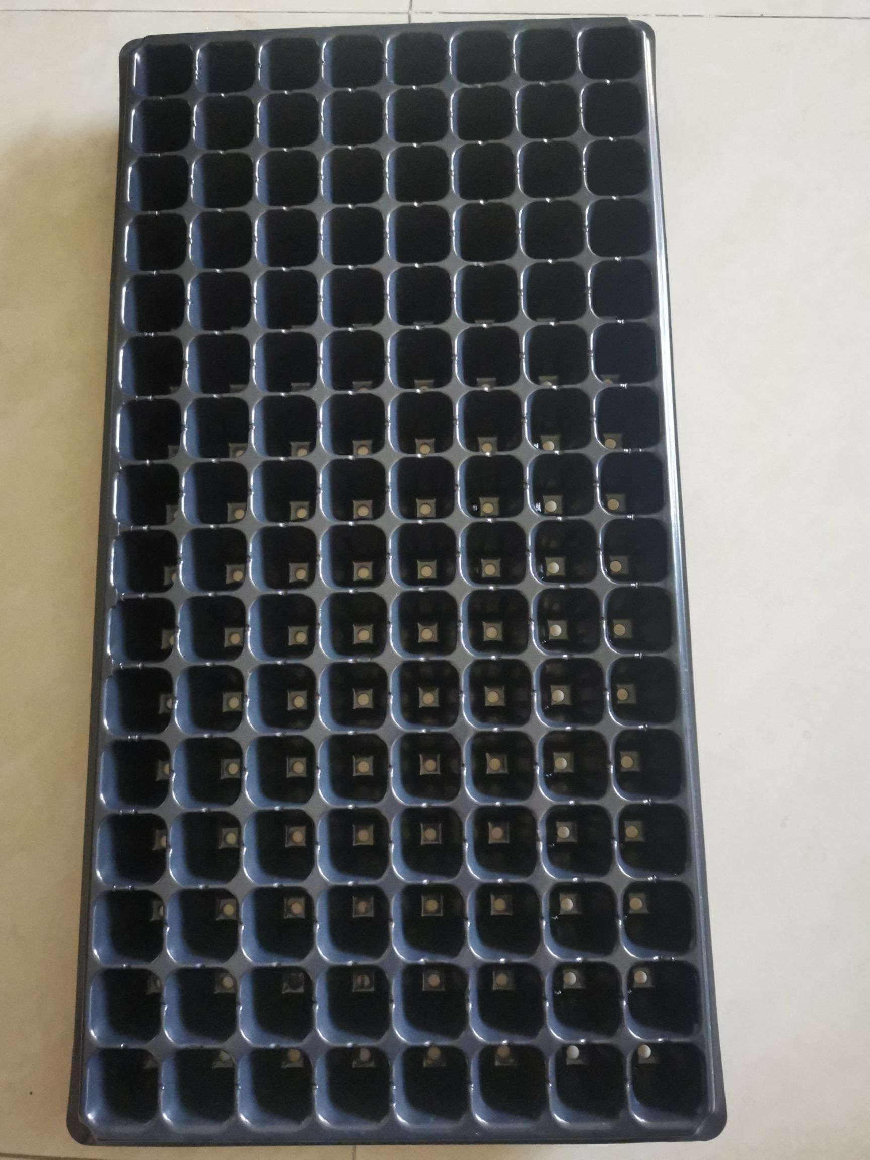 穴盘/育苗盘  育苗穴盘加厚pvc抗晒128孔厂家直销利达塑料制品厂
