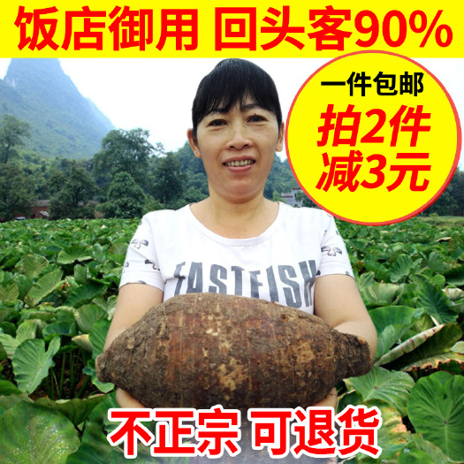 荔浦市 正宗广西荔浦芋头 新鲜香芋一手货源荔浦发货 量大优惠