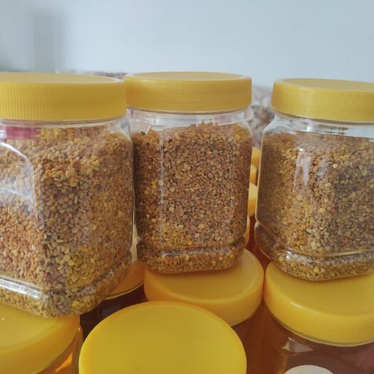 沈阳杂花粉  蜂花粉