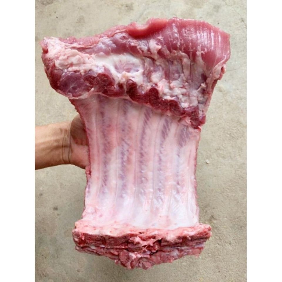 猪排骨  新鲜冷冻排骨条带箱 20斤猪前排条猪肋排生猪排桥头排骨
