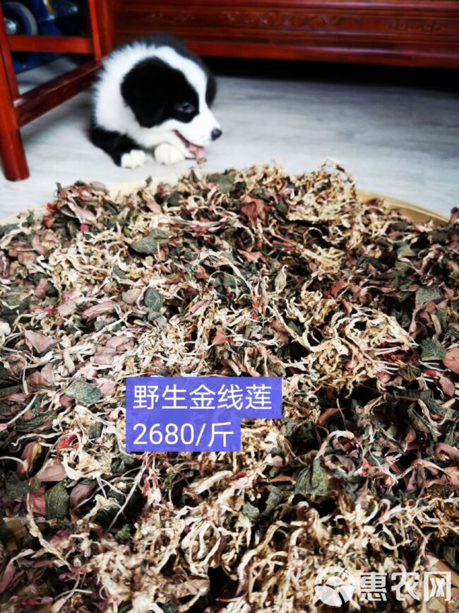  大量英德红茶绿茶乡下土特产