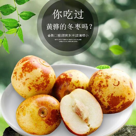 黄骅市 【河北特产】黄骅冬枣，应季鲜果