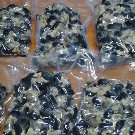 昌江县 大量出售非洲蜗牛！活体！冻肉