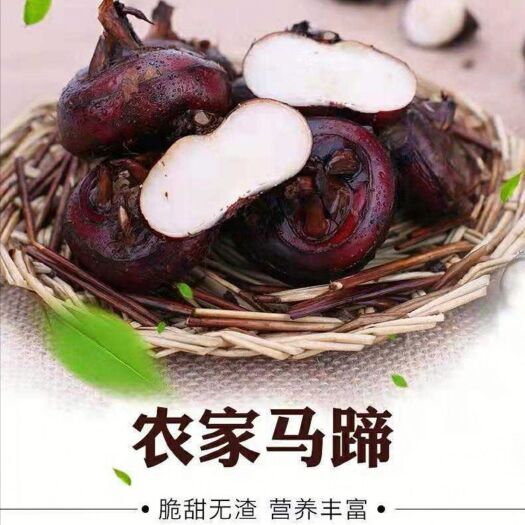 无为市果农自产自销现采马蹄水果新鲜整箱净重1/3/5斤马蹄荸荠清