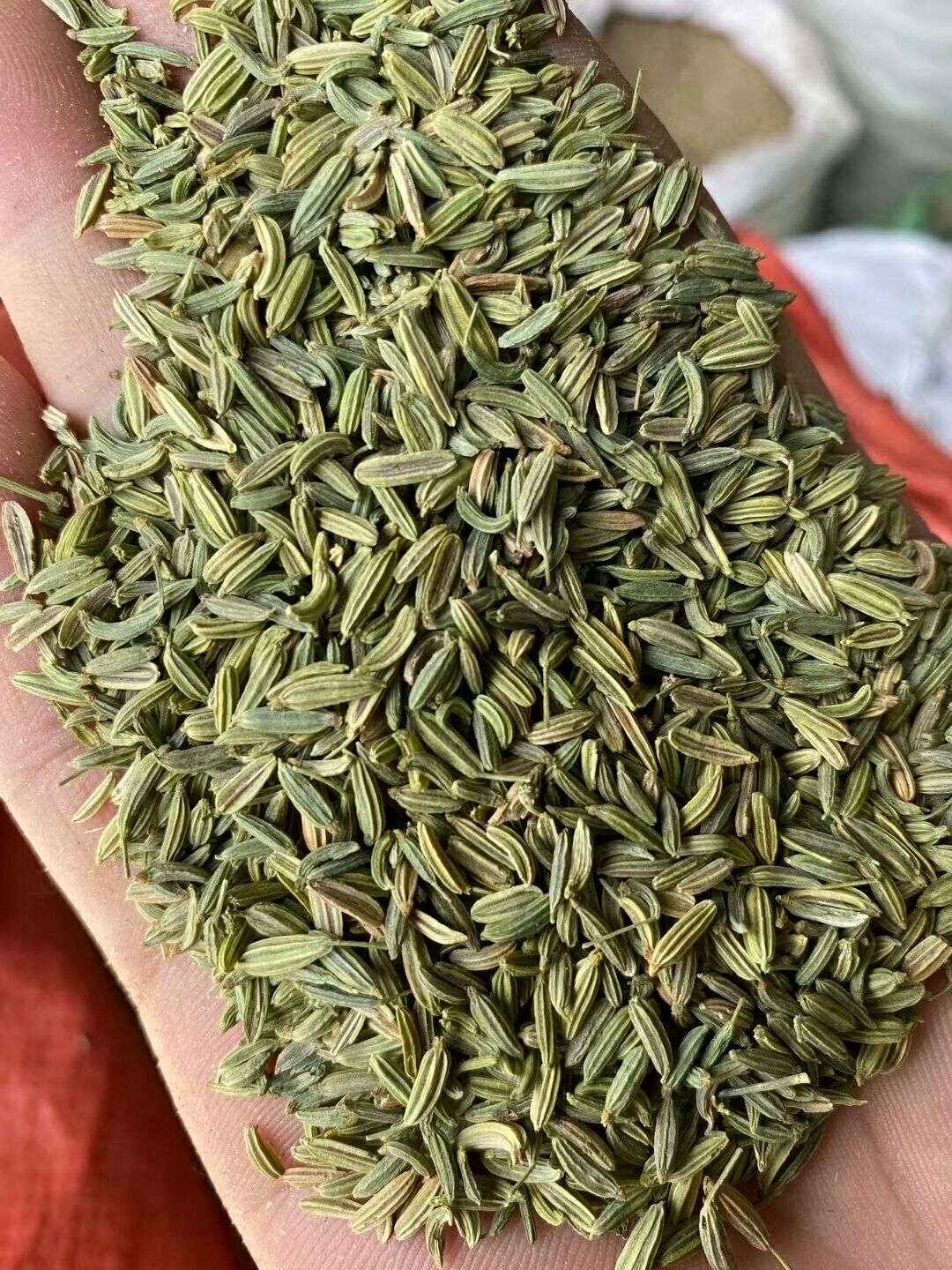 特绿小茴香，颜色好，颗粒饱满