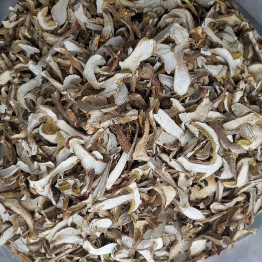 楚雄市牛肝菌干片，精品一斤批发价包邮