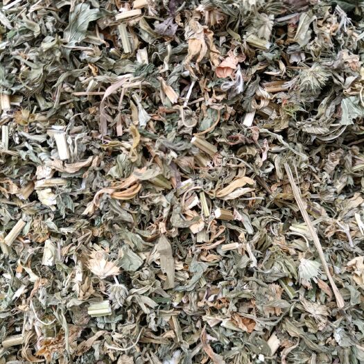 平邑县 益母草