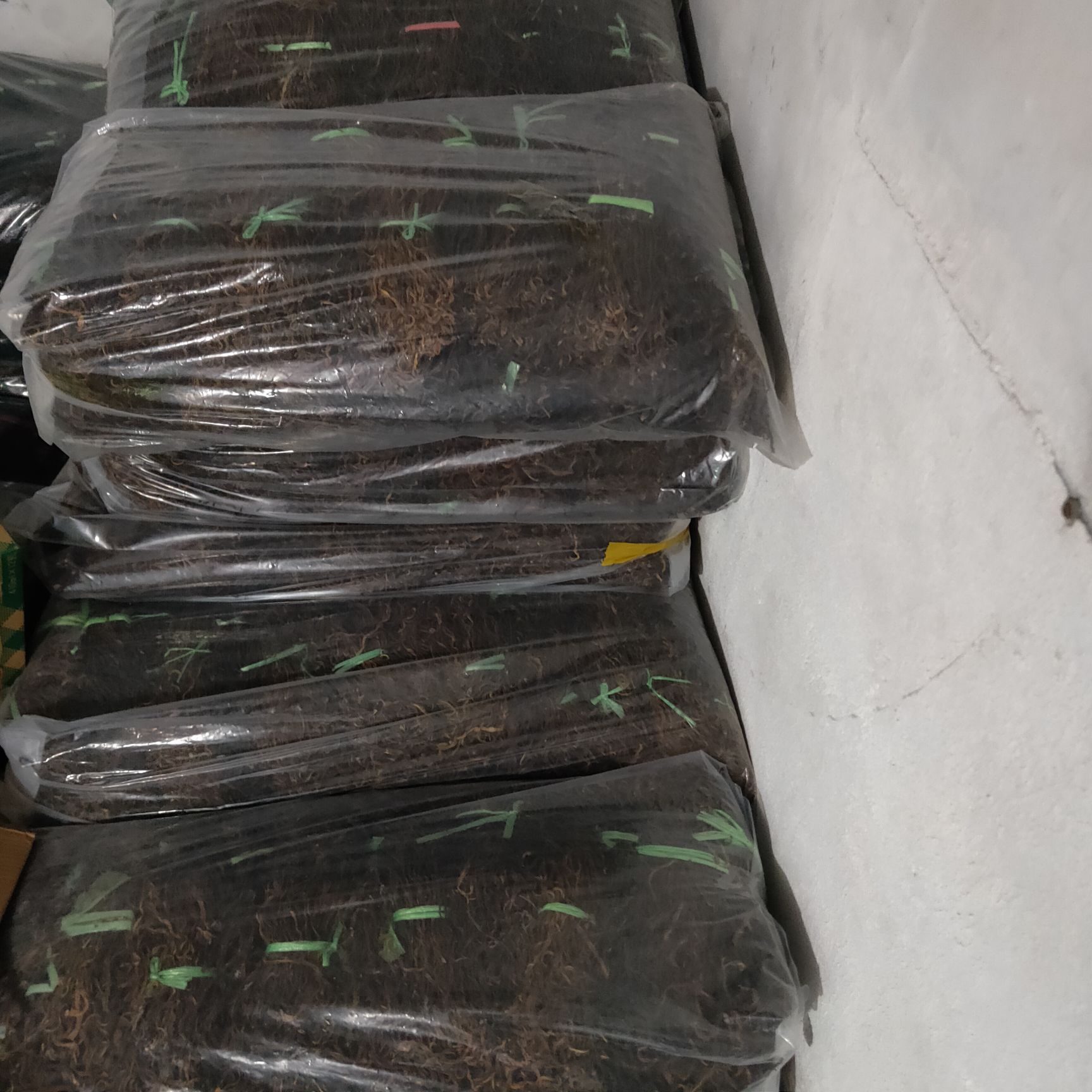 干豆角  福建豆角干，肉质紧实，香气富郁