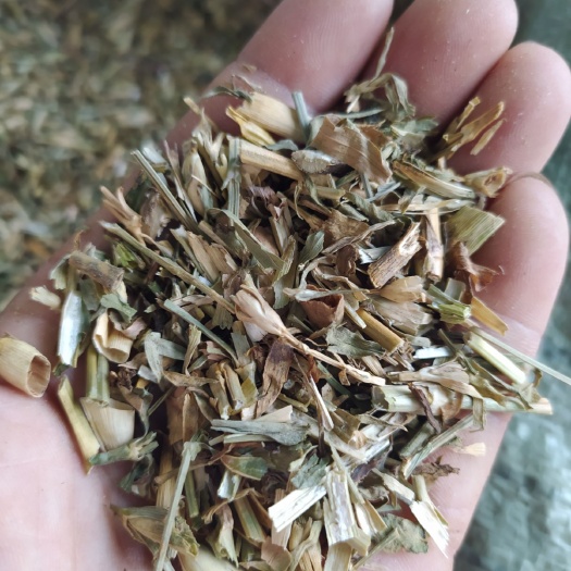 亳州 瞿麦