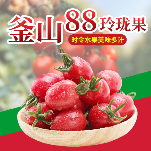 寿光市釜山88圣女果
