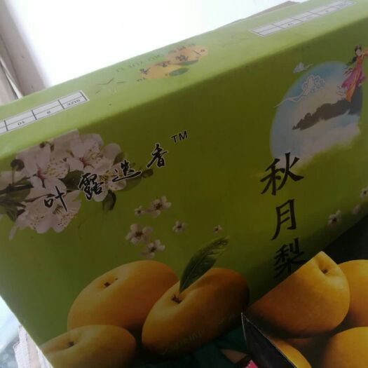 砀山县 皖北砀山秋月梨果肉细腻