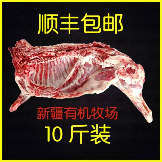 察布查尔绵羊肉  羊肉散养新疆伊犁哈萨克羊肉有机羊肉新鲜羊肉