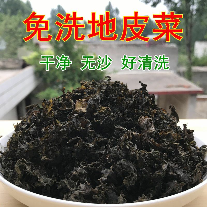 干地皮菜 免洗脫水地皮菜地耳地軟地達(dá)菜地木耳產(chǎn)地直批