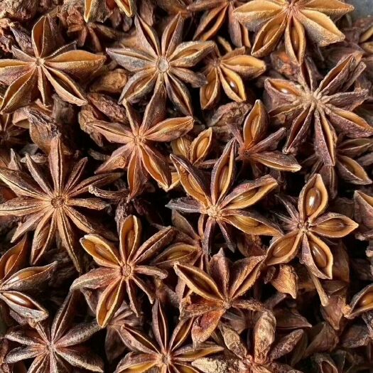 兴业县全干大红八角，个头大籽少，颜色好足干