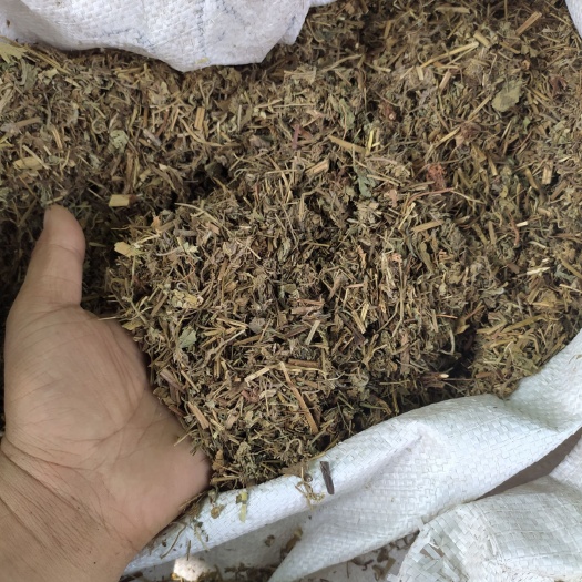 老鹤草  老鹳草