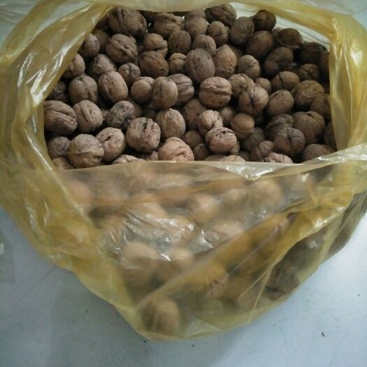 眉县 今年鲜核桃，油大皮薄，鲜香美味