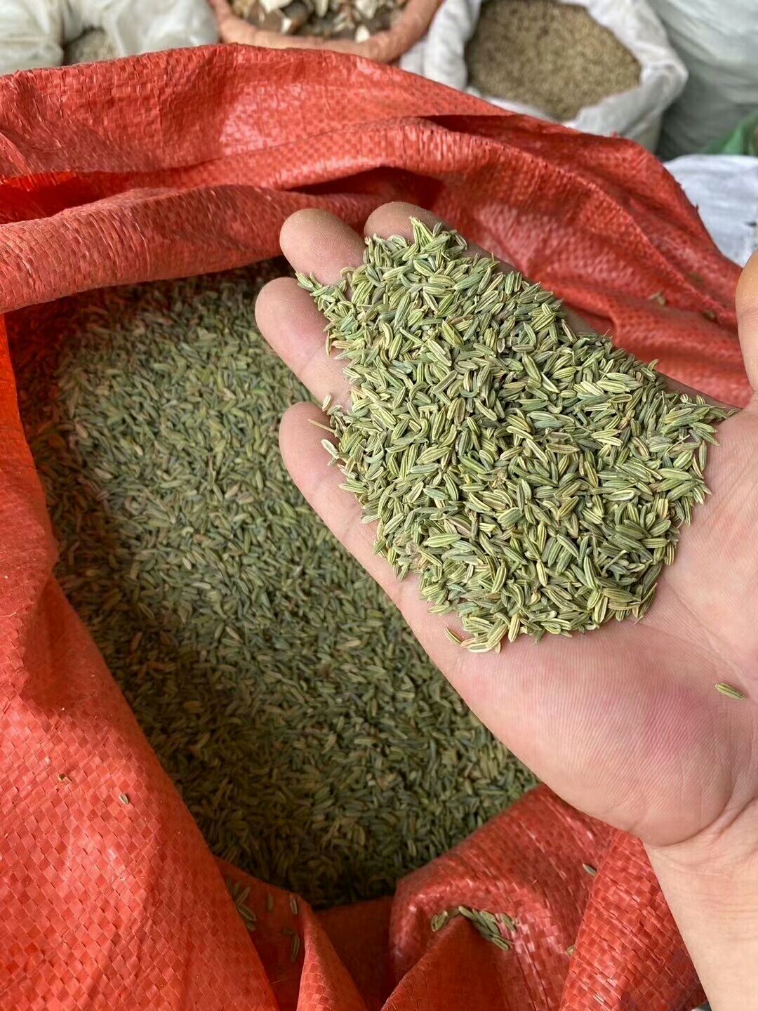 特绿小茴香，颜色好，颗粒饱满