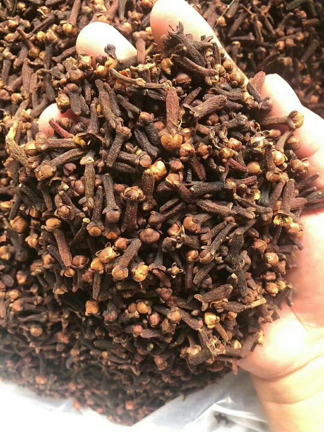 公丁香  丁香，火锅卤菜，红烧提香去腥，品