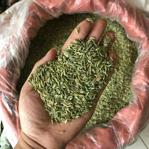 兴业县特绿小茴香，颜色好，颗粒饱满