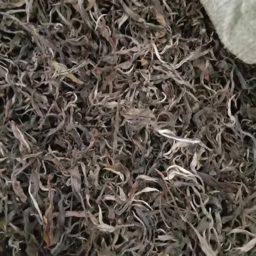 永德县大黑山绿茶
