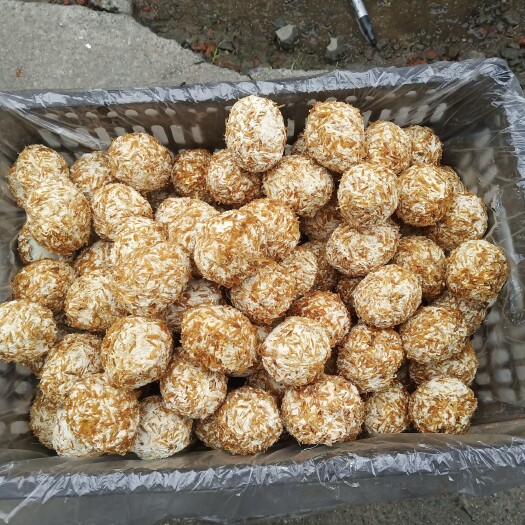 成都 松花鸭皮蛋框装绿皮蛋基地直销摆地摊热卖