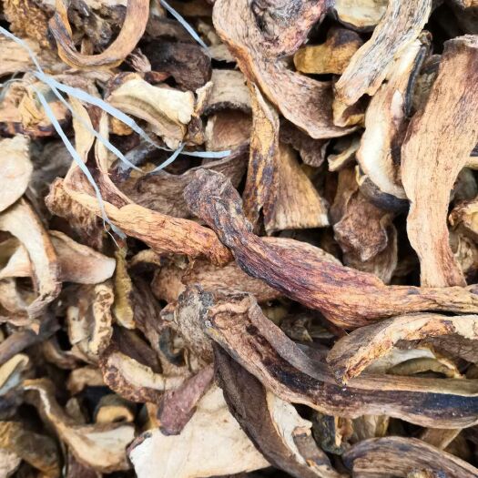 延吉市蘑菇 散装 1年