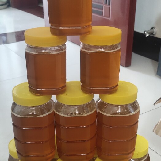 韩城市大球盖菇菌种 大球盖菇干品供应