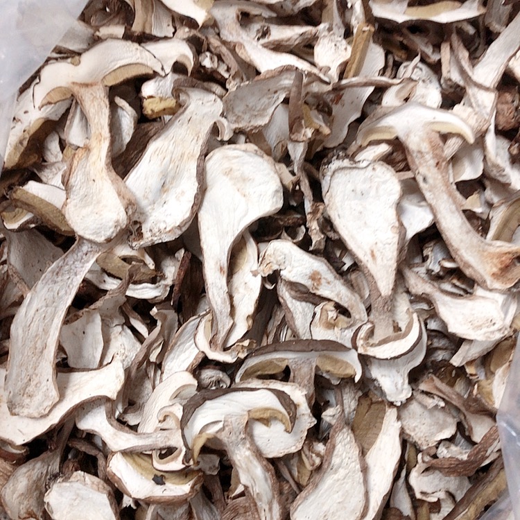 美味牛肝菌  又称大脚菇、白牛肝菌