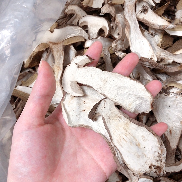 美味牛肝菌  又称大脚菇、白牛肝菌