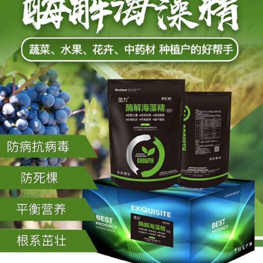 寿光市海藻肥  南非酶解海藻精
