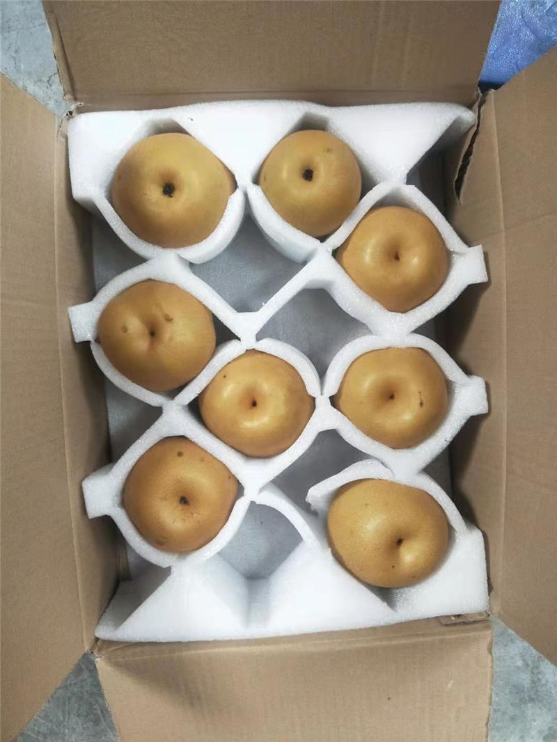  金秋梨