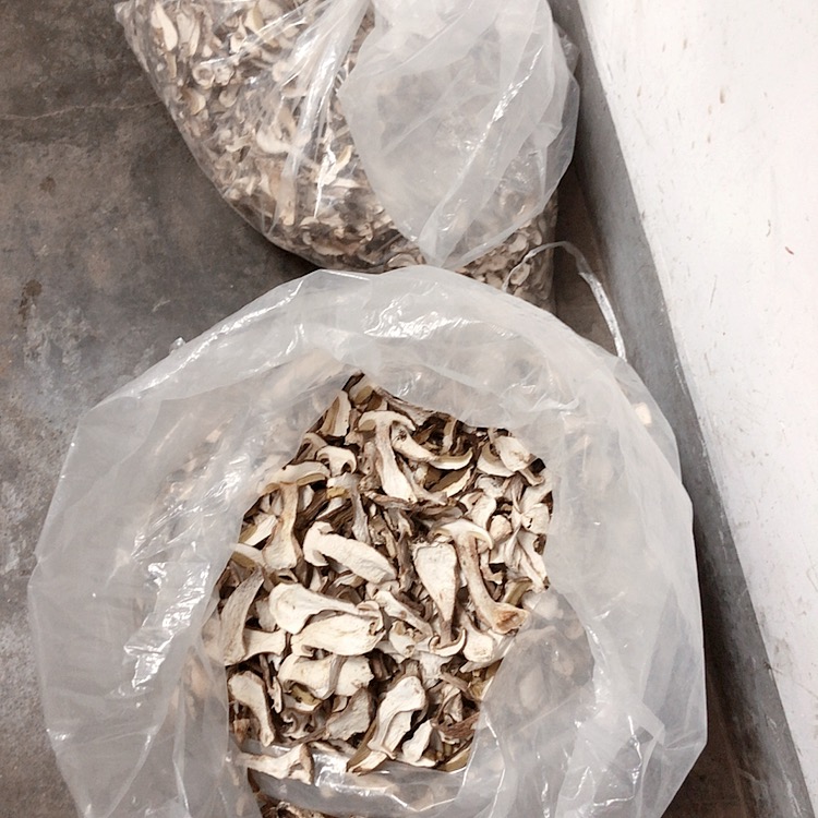美味牛肝菌  又称大脚菇、白牛肝菌