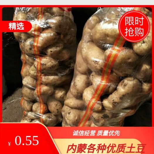 呼伦贝尔荷兰806  黄皮黄心土豆，质优价廉