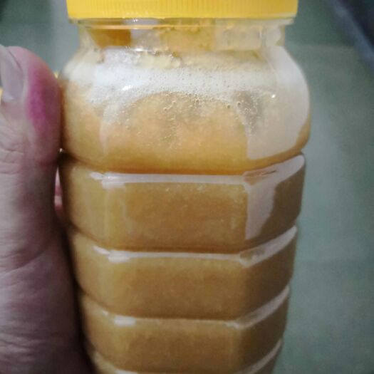 南平乌桕蜜  低价批发散装农家土蜂蜜