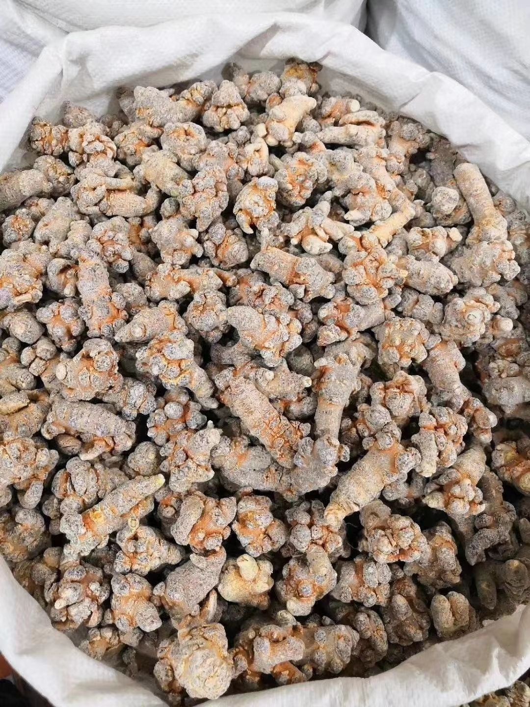 云南文山三七 高品质精心挑选热卖中