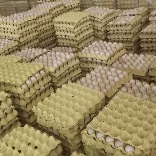 六盘水普通鸡蛋 食用 箱装