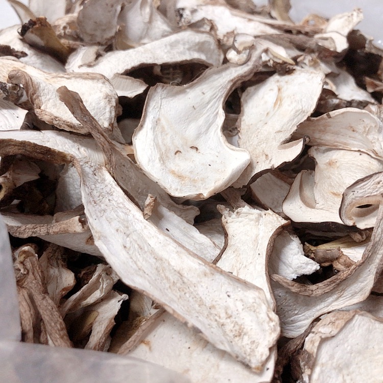美味牛肝菌  又称大脚菇、白牛肝菌