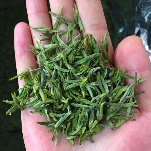 金寨县 霍山黄芽2020新茶特级明前春茶散装高山茶耐泡500g礼盒装