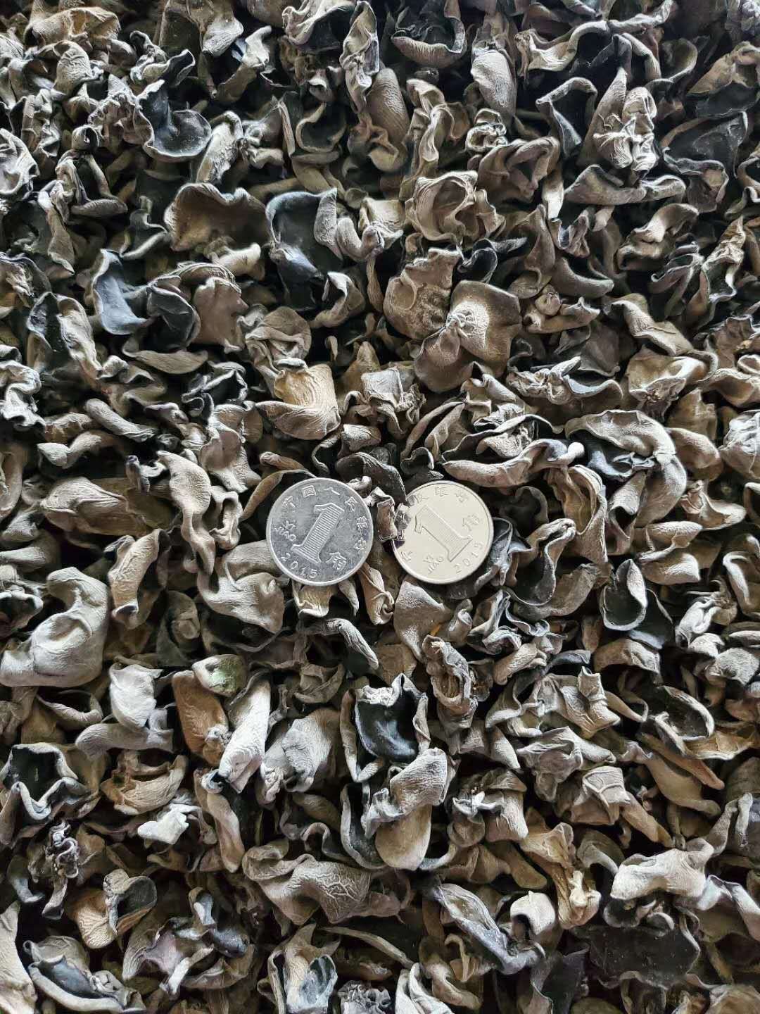 黑木耳  东北特产木耳耳肉厚