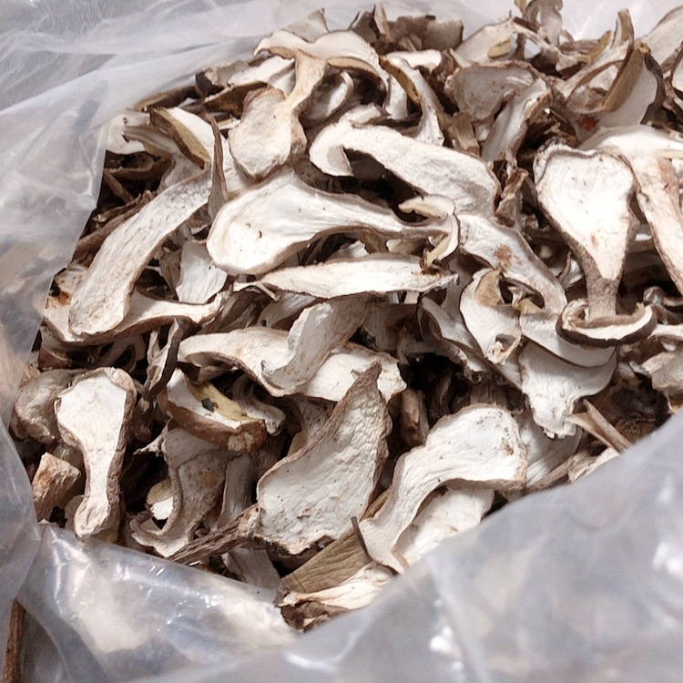 美味牛肝菌  又称大脚菇、白牛肝菌
