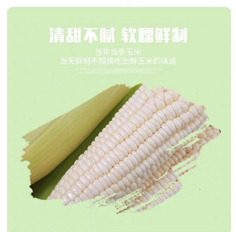 【坏了包赔】水果玉米新鲜玉米现摘农家玉米棒新鲜现摘