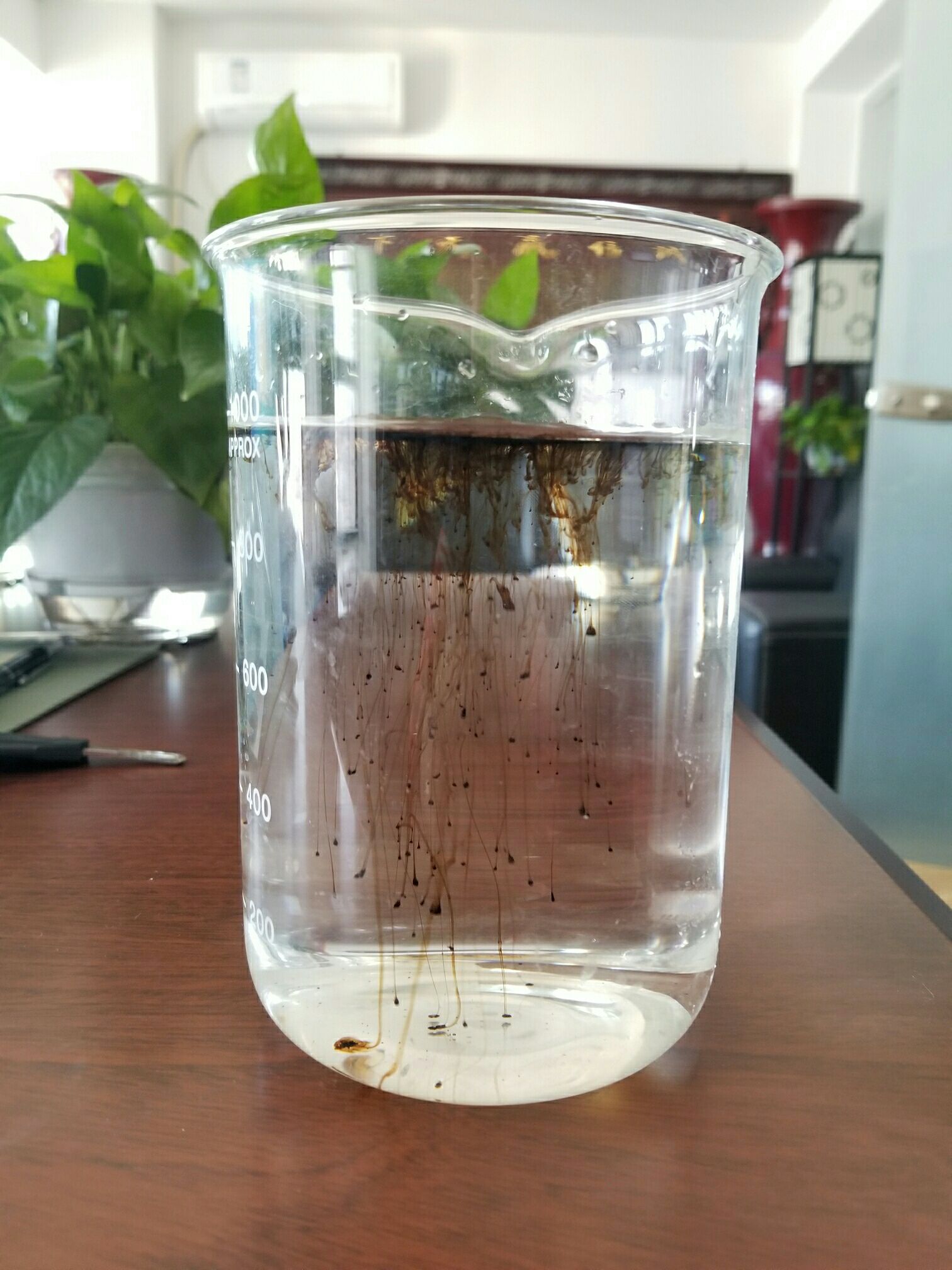 新疆矿源黄腐酸钾优质品质解磷解钾增加作物的抗冻抗逆